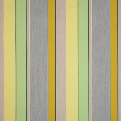 Sunbrella Dimension Upholstery 54'' Expand Citronelle 14049-0002