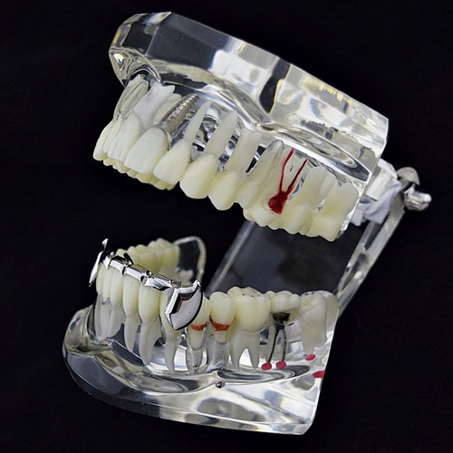 Colmillos de vampiro Grillz en tono plateado dientes inferiores caninos parrillas delgadas barra frontal - Imagen 4 de 9