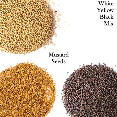 Mustard Seeds White Black Yellow Mixed Highest Quality