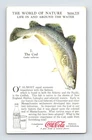 Trade Card Coca Cola Cod Fish 1930s World Nature Series VII
