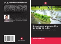 Awadhesh Kumar | Uso De Energia No Cultivo De Arroz Na ÍNdia | Taschenbuch