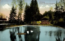 Ak Erding in Oberbayern, Stadtpark, See - 11541348