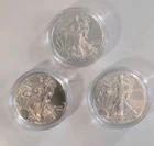 2013 1 oz Silver American Eagles ( Lot Of 3)