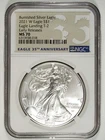 2021 W T-2 NGC MS 70 Burnished American Silver Eagle Eagle Landing 018