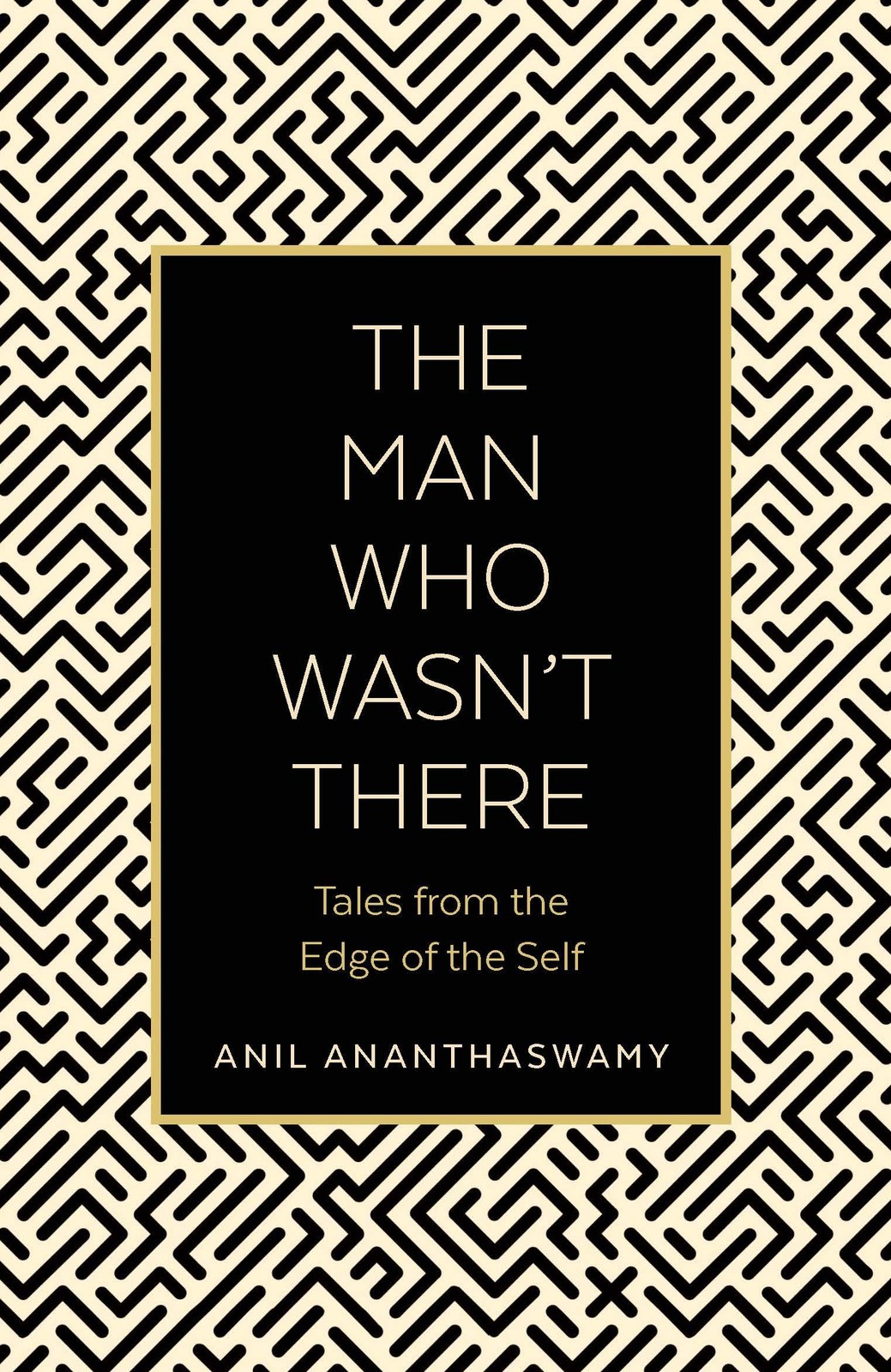 The Man Who Wasn't There: Tales from the Edge of the Self by Anil Ananthaswamy - Image 4