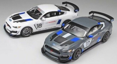 1/24 Ford Mustang GT4 Race Car Plastic Model Kit