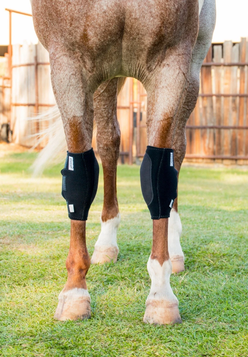 Iconoclast hotsell equine boots