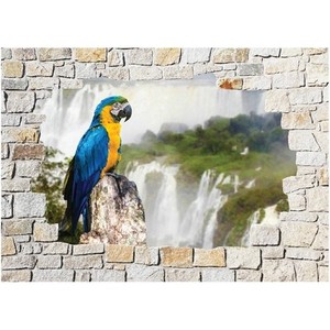 Aufkleber Wand Schein Auge Stein Deko Papagei 8504 Ebay