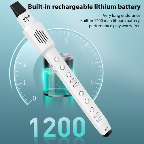 Digital Wind Instrument Portable Automatic Electronic T1O3 - Picture 10 of 11