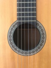 Höfner Accoustic Guitar, With Padded Case