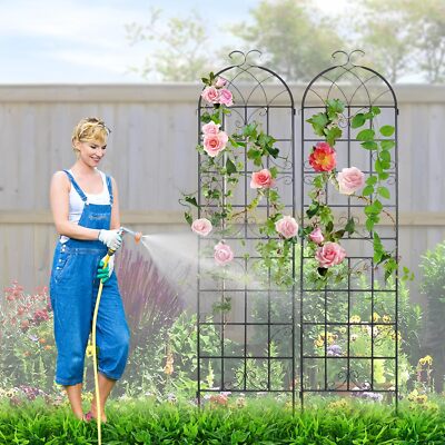 2 Pack Metal Garden Trellis for Climbing Plants Outdoor Rose Vine Flower  Support | eBay