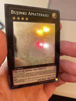 HUNTERHUNTER PSA10 レリーフ 神眼 HUNTERHUNTER PSA10 レリーフ 一坪の密林 ハンターハンター