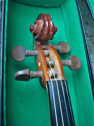 Violon n.