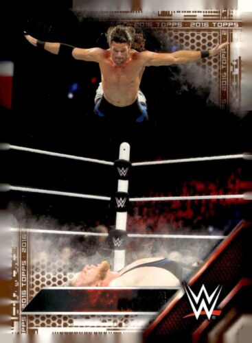 2016 Topps WWE base and inserts, bronze, silver - pick your card PYC - Picture 245 of 466