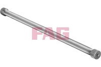 Schaeffler FAG Fahrwerksfeder Hinten Links FüR Renault Kangoo Nissan Kubistar