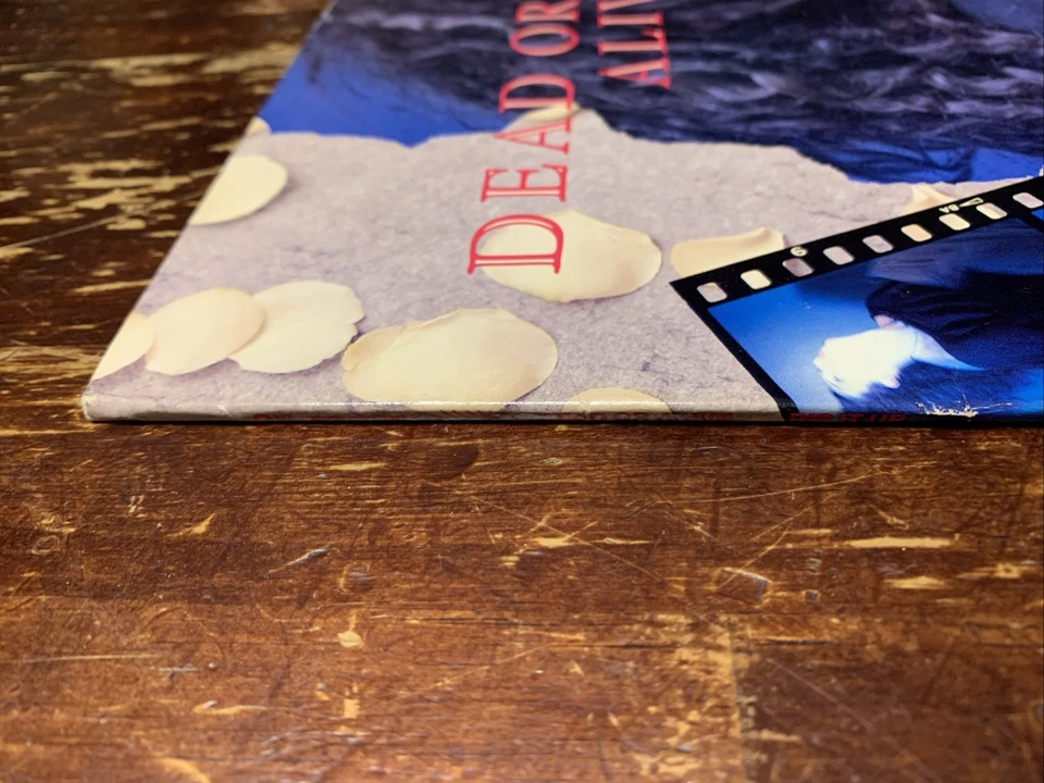 Dead Or Alive – Rip It Up Vinyl Record Original 1987 Vintage - Image 2 of 4
