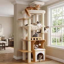 Cat Tree, 70.9 Inch Wood Cat Tower for Large Cats Adult, Modern Cat Furniture wi