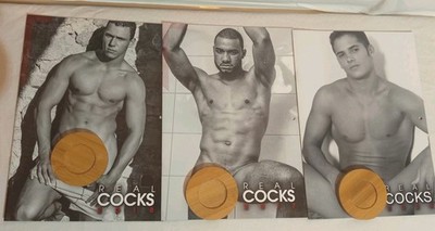 Real Cocks Pin Up Kalender Männer 2017 2018 2024 Top Zustand 