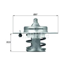 Thermostat Peugeot 604