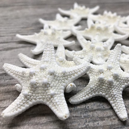 10Pcs Dried Starfish Beach Craft Wedding Party Home Decor Hanging Ornaments - Picture 9 of 10