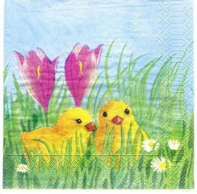 Two Chicks with Crocus Flower Paper Napkins, Pack of 20 pcs