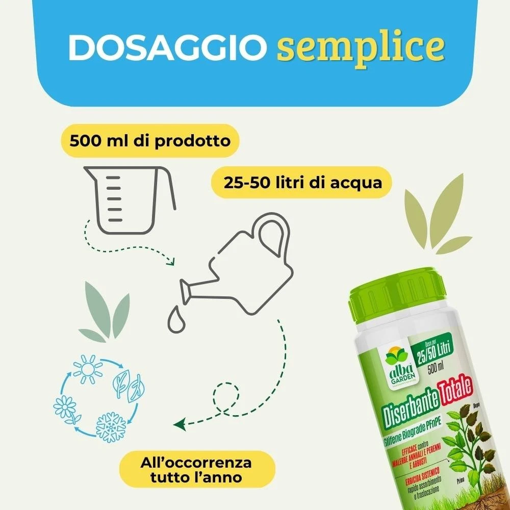 Foto 3 di 10