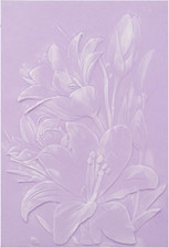 3D Embossing Folder for Card Making,Lily Flowers Clear Plastic Texture Fades Emb
