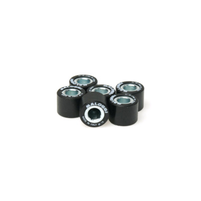 Set 6 Rollen MALOSSI Htroll D 18x14 10 G Kl Brera 125 2022-2023