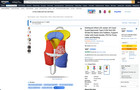 Stohlquist Infant PFD Life Jacket Orange/Yellow, 8-30 Lbs, Coast Guard Approved — photo 9