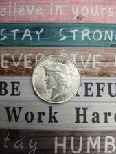 Silver 90%  1924 S  Peace Dollar  Brilliant looking coin   TP-9768