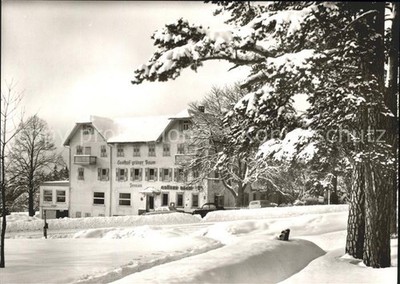 Hallwangen Gasthof Pension Gruener Baum Hoehenluftkurort Schwarzwald
