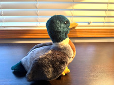 Ty Beanie Buddy  Jake  the Mallard Duck 8.5 inch 