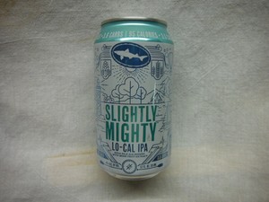 Slightly Mighty Lo Cal Ipa Beer Can Dogfish Head Milton De 697 Ebay