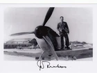 WWII WW2 RAF Fighter Command Spitfire FREEBORN DFC*aircraft wing signed photo