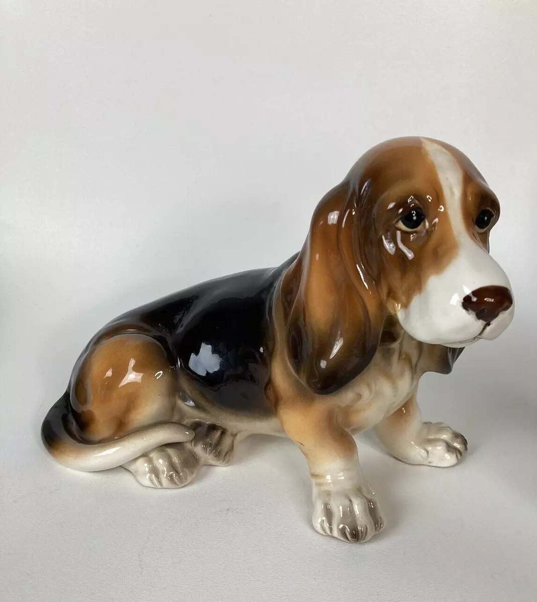 Kennel basset hound 2025