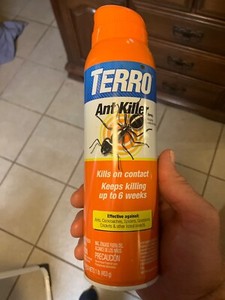 Terro Ant Killer Aerosol Spray 2 Kills On Contact Killing Up To 6 wks 1 lb