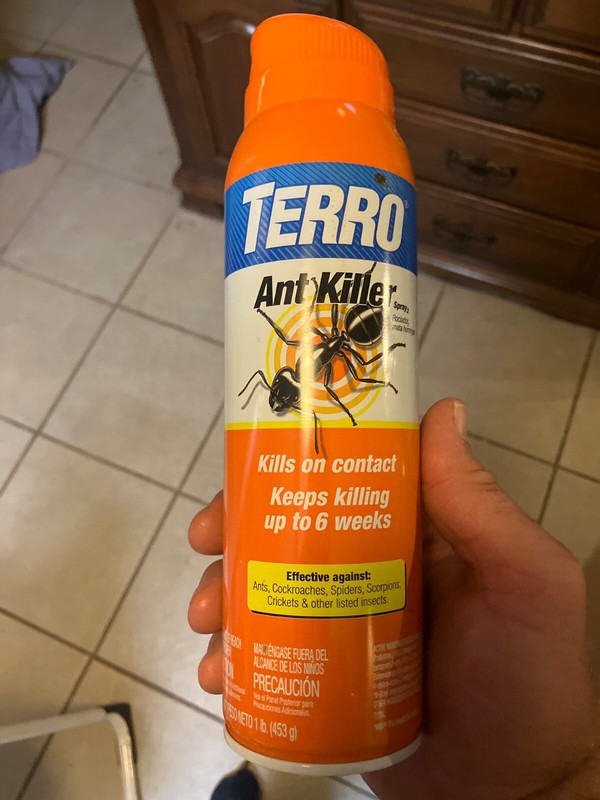 Terro Ant Killer Aerosol Spray 2 Kills On Contact Killing Up To 6 wks 1 lb