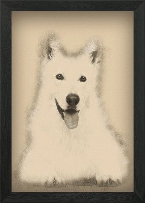 Schweizer Schäferhund 5 Jahre Gerahmtes Wandbild Poster Leinwandbild Bild