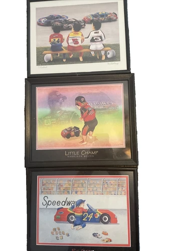 Dale Earnhardt Not Authenticated NASCAR Original Autographed Items