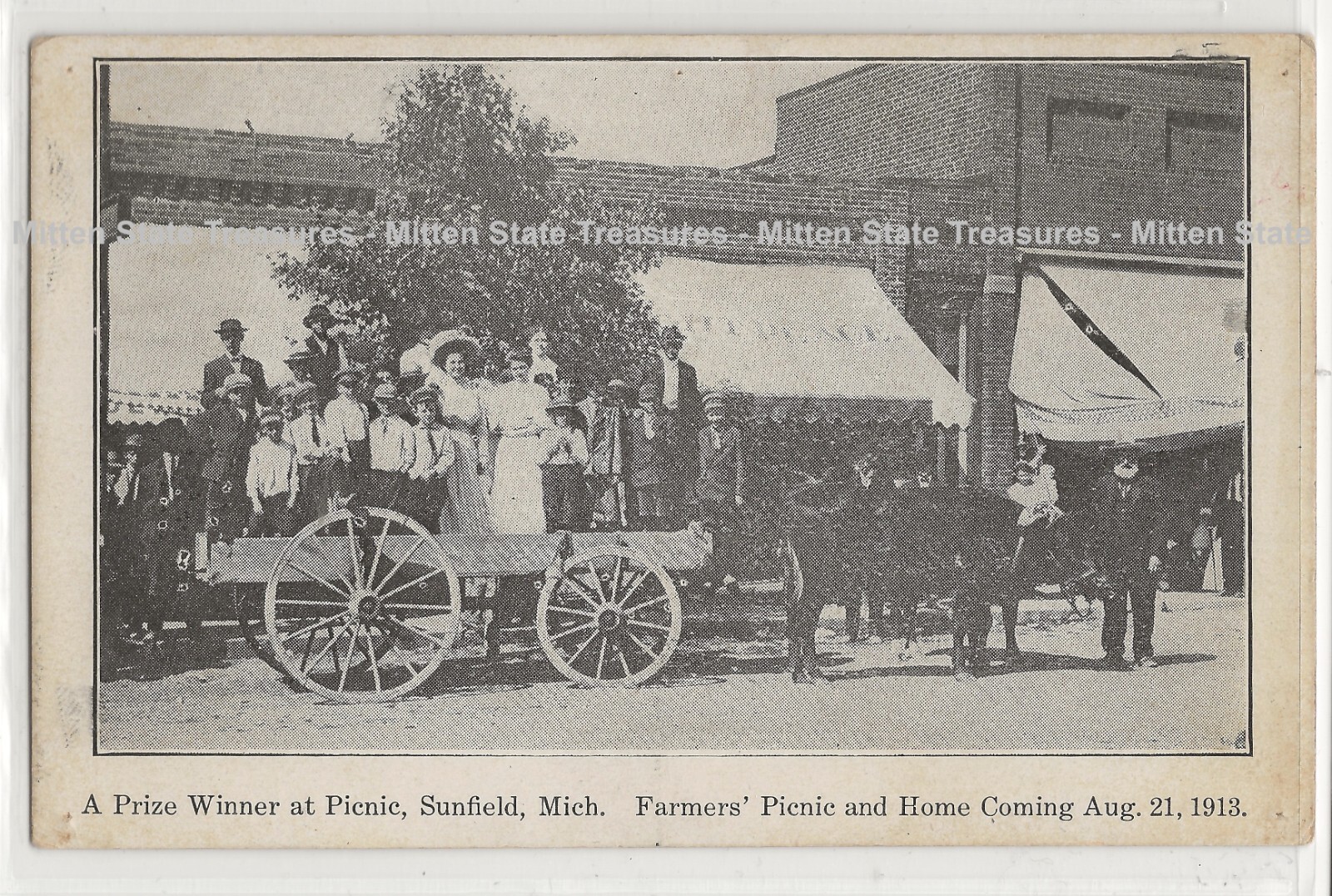 Picnic wagon, Sunfield, Michigan; Eaton County history postcard eBay