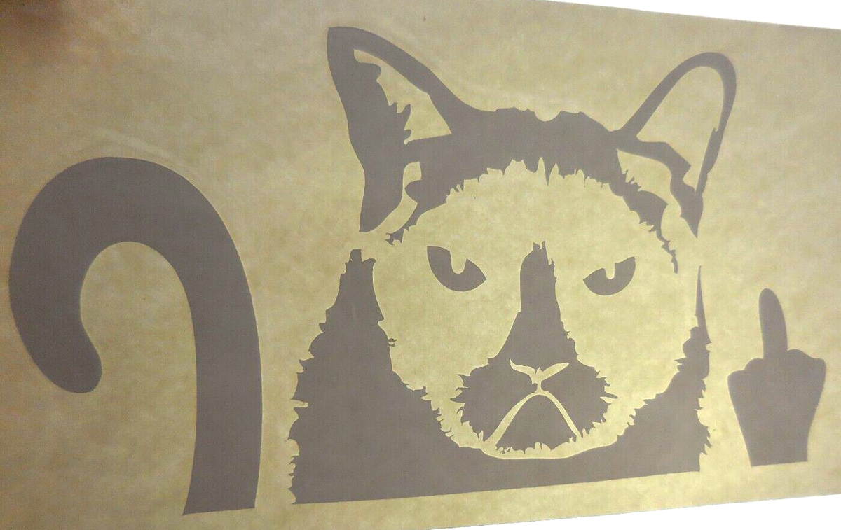 Grumpy Cat with Middle Finger LOT of 3 White Window Decals 5x9 + 3x5 inch  NEW | eBay