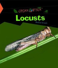 Locusts (Gross Bugs) by Kravetz, Jonathan