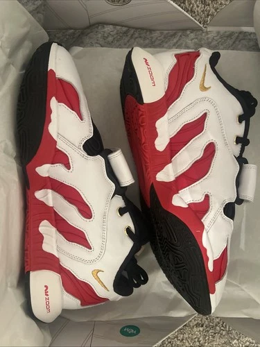 Size 10 - Nike LeBron 21 Prime 96 Fire Red