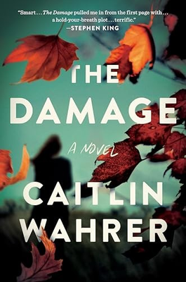 #ad The Damage: A Novel ACCEPTABLE $4.61