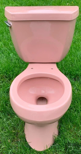 NIB Kohler K-3422-45 WILD ROSE(pink) Two-Piece Wellworth Toilet(tank+bowl+seat)