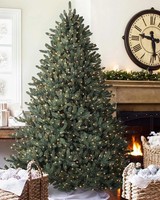 Balsam Hill - Canadian Blue Green Spruce Tree 6 ft UNLIT  RRP £359