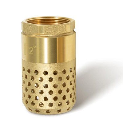 2-Inch Brass Foot Valve with Mesh Strainer, Universal One-Way Female NPT Chec...