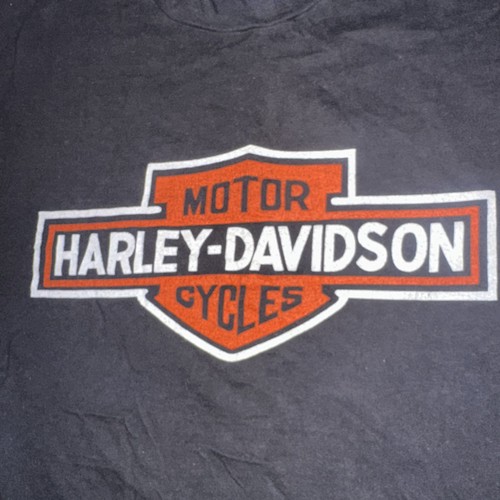 T-shirt moto Harley-Davidson vintage anni 80 scudo Eagle Bar Large Hanes Beefy - Foto 5 di 12