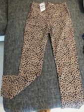 Mango Hose 36 neu