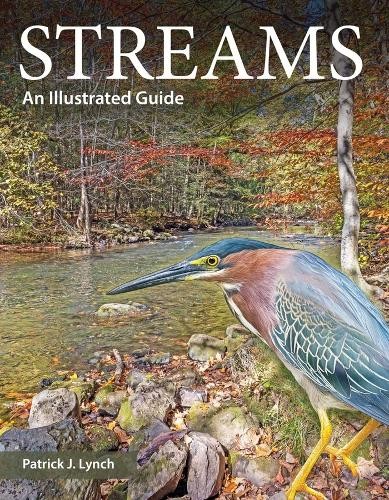 Streams : An Illustrated Guide - Image 4
